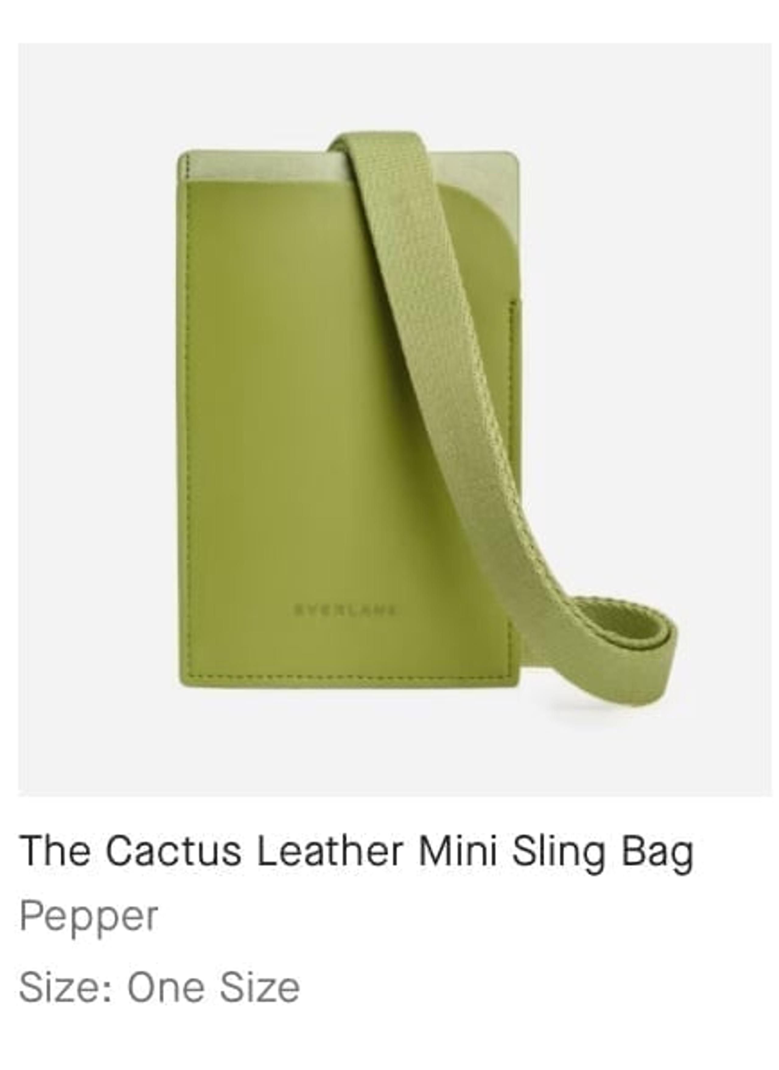 Everlane cactus leather crossbody pepper mini sling bag