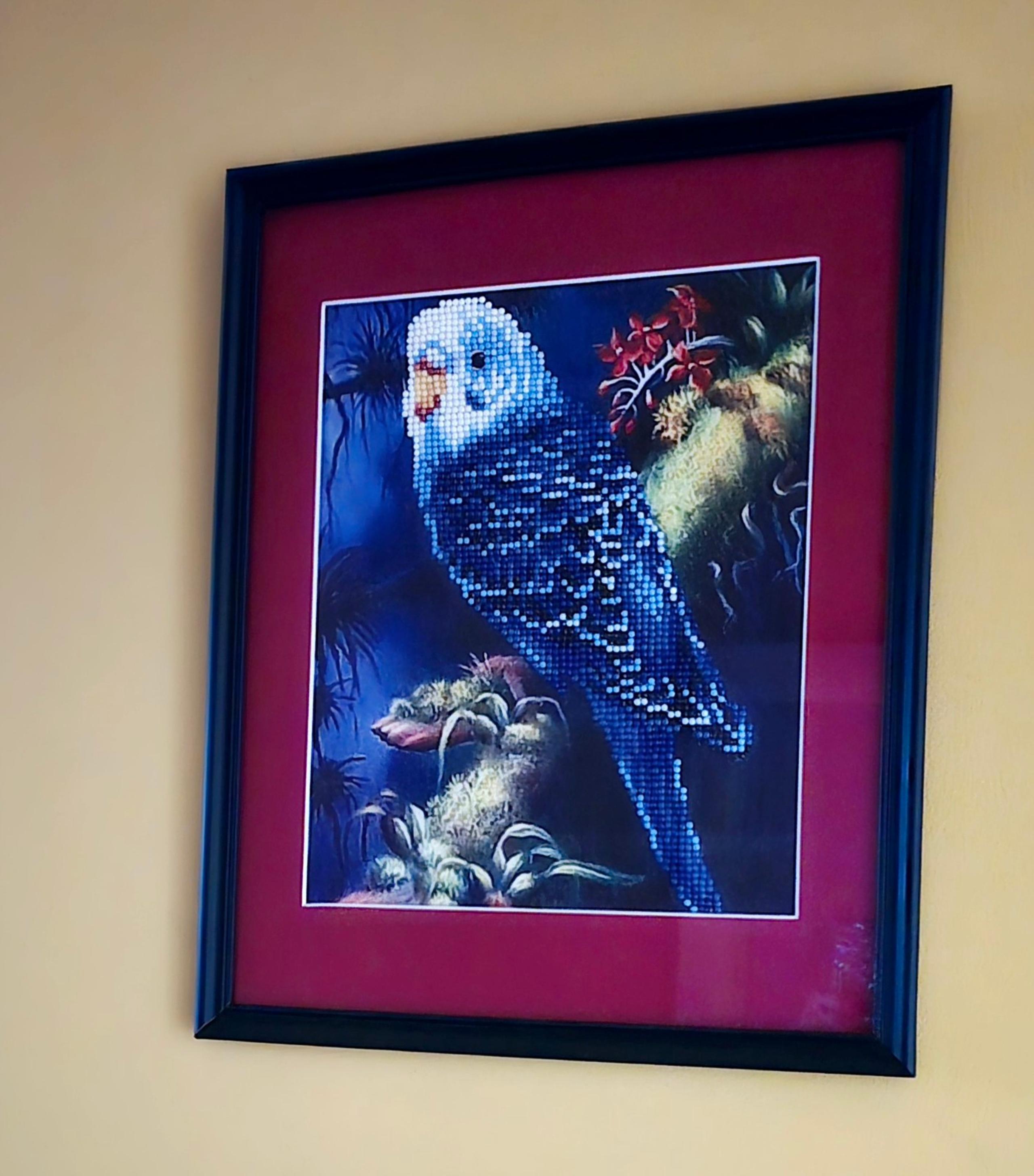11x16 FRAMED &MATTED HAND BEADED VIBRANT 5D PARROT  WALL DECOR ACCENT
