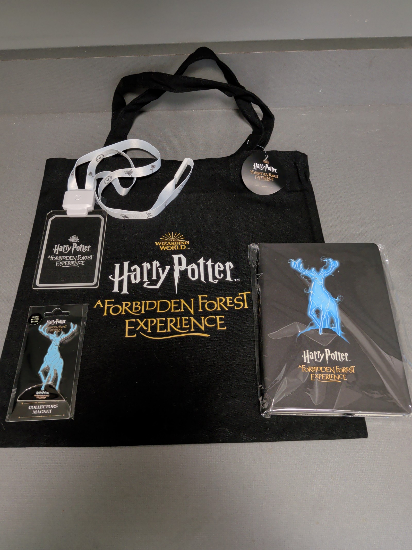 Harry Potter Forbidden Forest Experience Lot