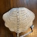 Vintage White Wicker Nesting Shells