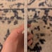 Apple iPhone 12 - White - 128GB - Unlocked