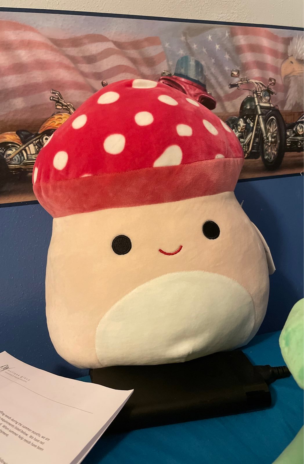 malcom squishmallow 16