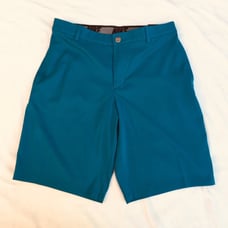 Nike Men Sz 32 BlueTurquoise Golf Shorts