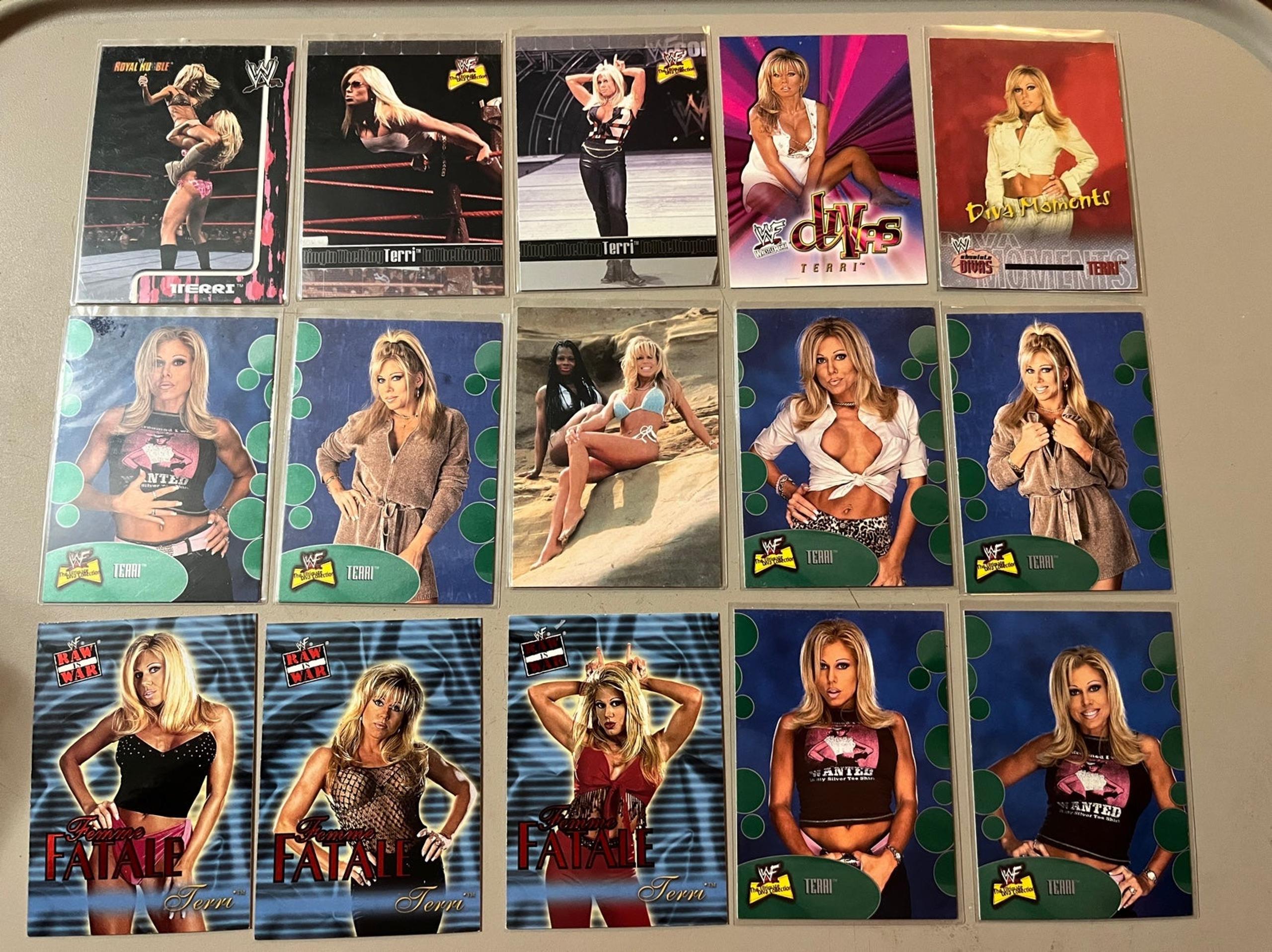 WWE TERRI Rookie Plus 15 Card Lot