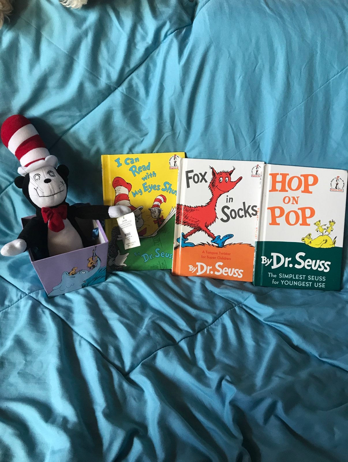 Dr. Seuss books plush basket bundle