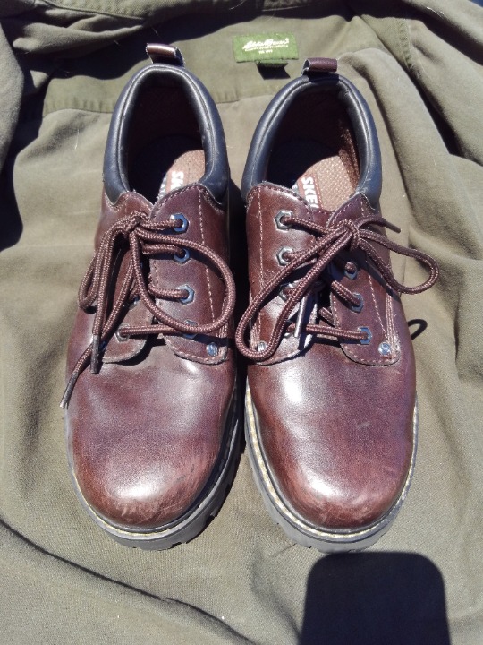 Skechers shoes