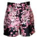Dolce and gabanna shorts