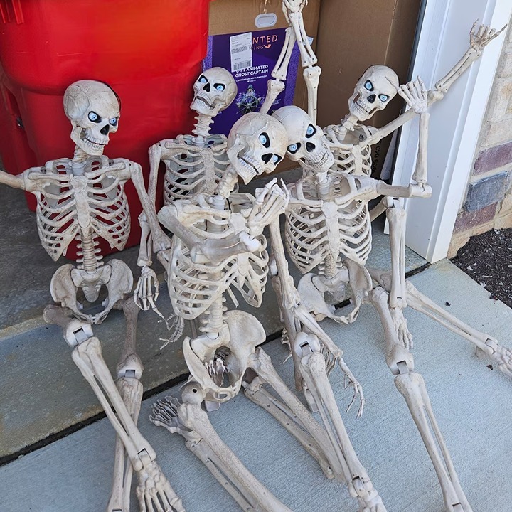 Halloween ultra poseable skeletons