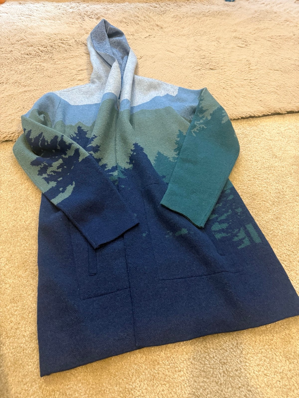 NWT Toad & Co Merino Heartfelt Hoodie size L