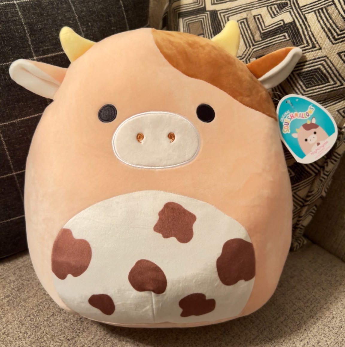 chocolate cow squishmallow
