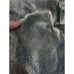 J Brand Womens 100% Lamb Leather Metallic Snakeskin Blue Size 26