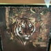 Home Interior Tiger Picture (large) with Black and Gold Frame