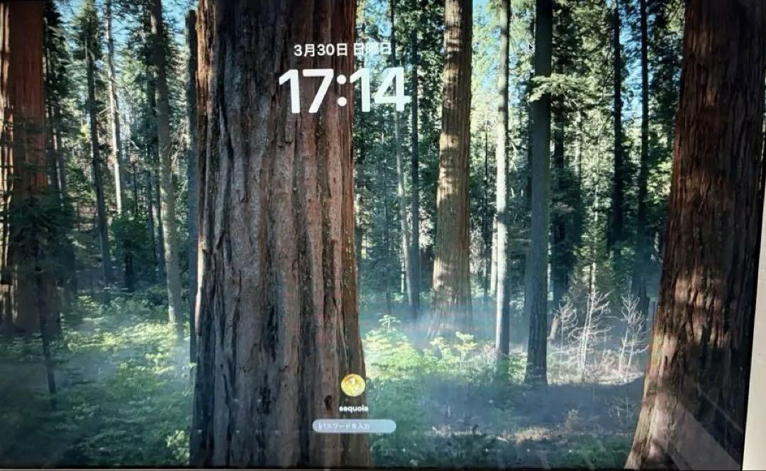 Used Mac Mini (Late 2014) CPU: i5 Memory: 16GB