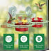 Window Hummingbird Feeder, Small Hummingbird Feeder for Outdoors