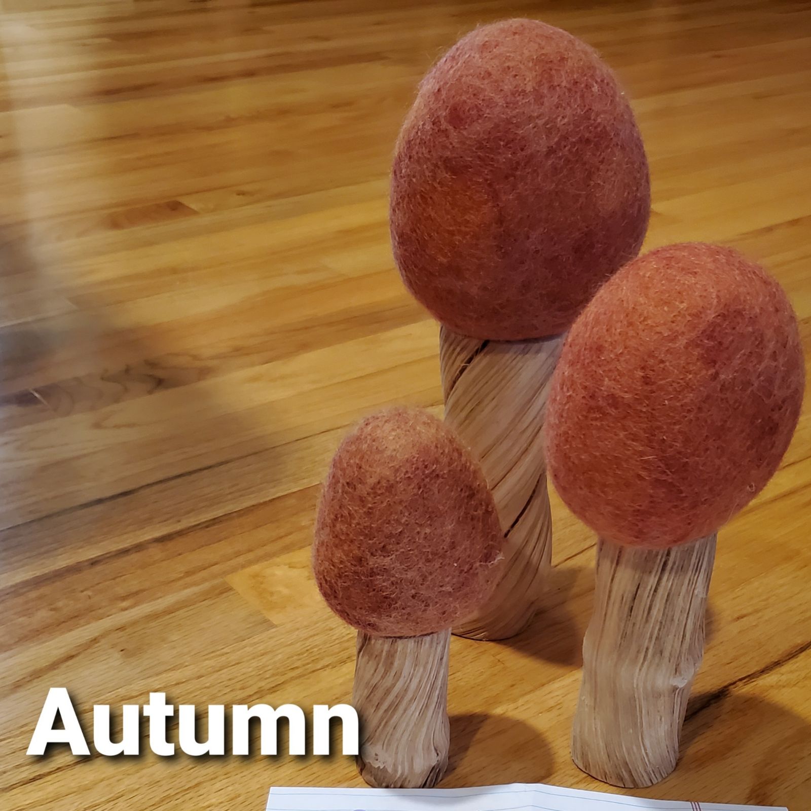 Papoose Autumn Trees Set