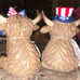 Patriotic Highland Cows - Not available in stores!