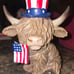 Patriotic Highland Cows - Not available in stores!