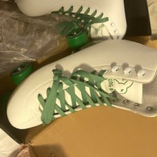 Rolling Bunny skates
