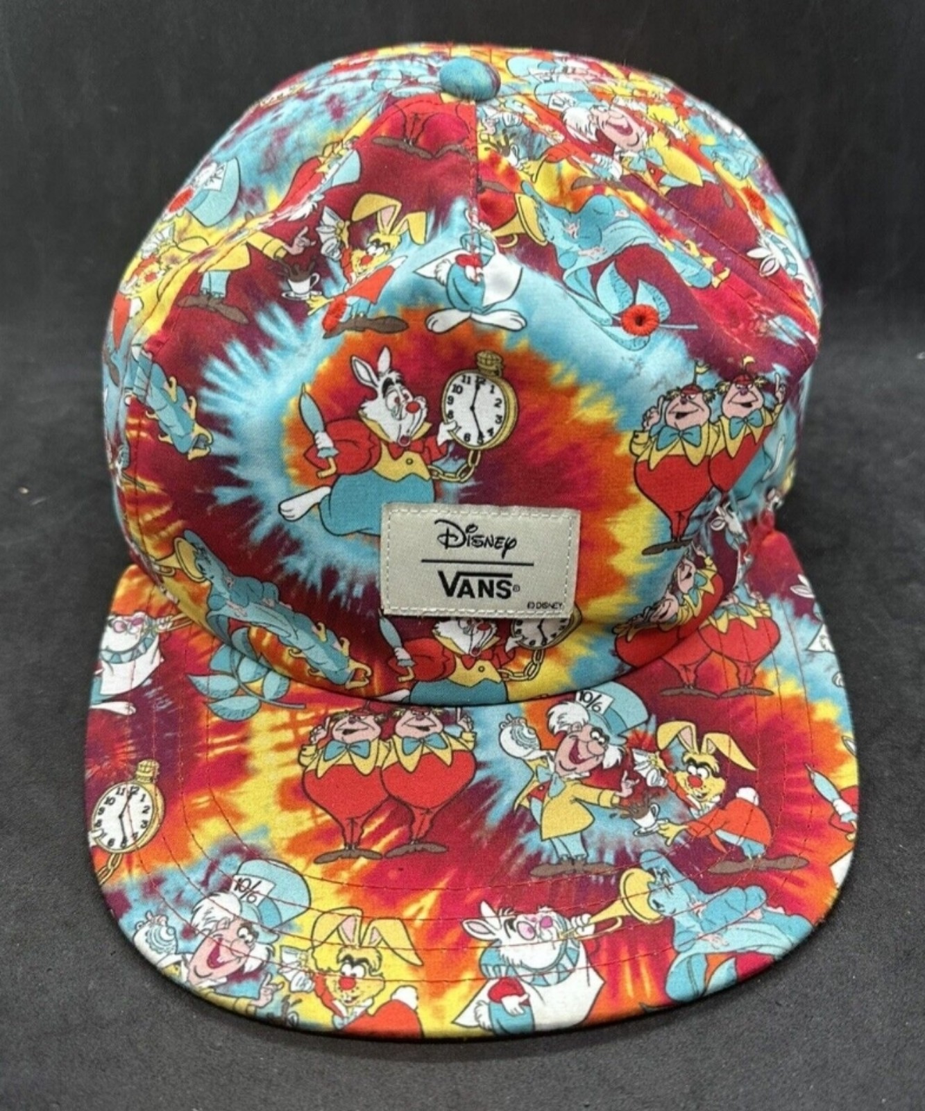 VANS x Disney Alice in Wonderland Baseball Hat Cap | 6 Panel | Like New