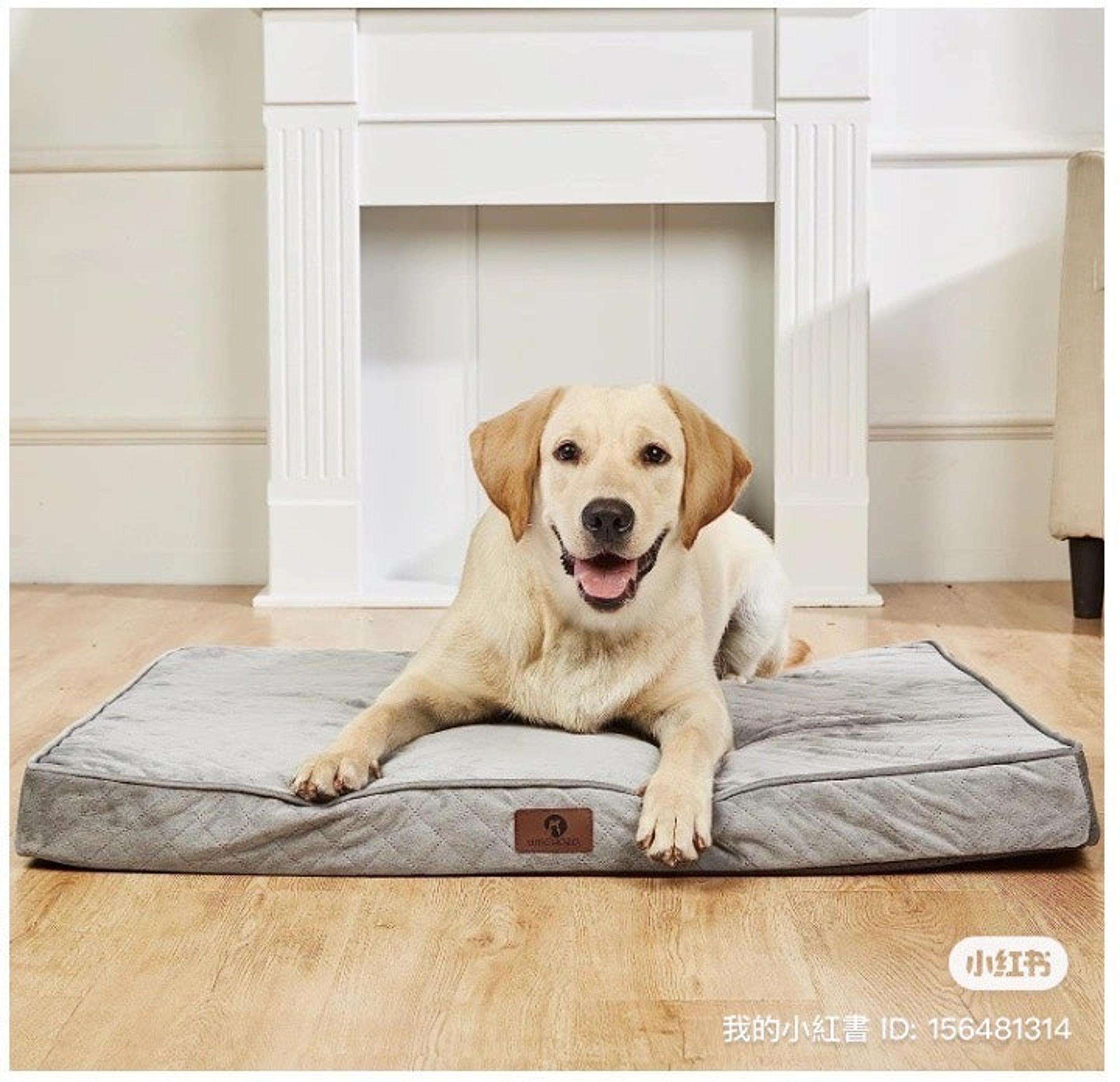 dog bed, pet mat cat mat