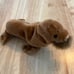 Ty Beanie Babies 1999 Paul