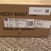 Yeezy Adidas Boost 350 V2 in Tail Light