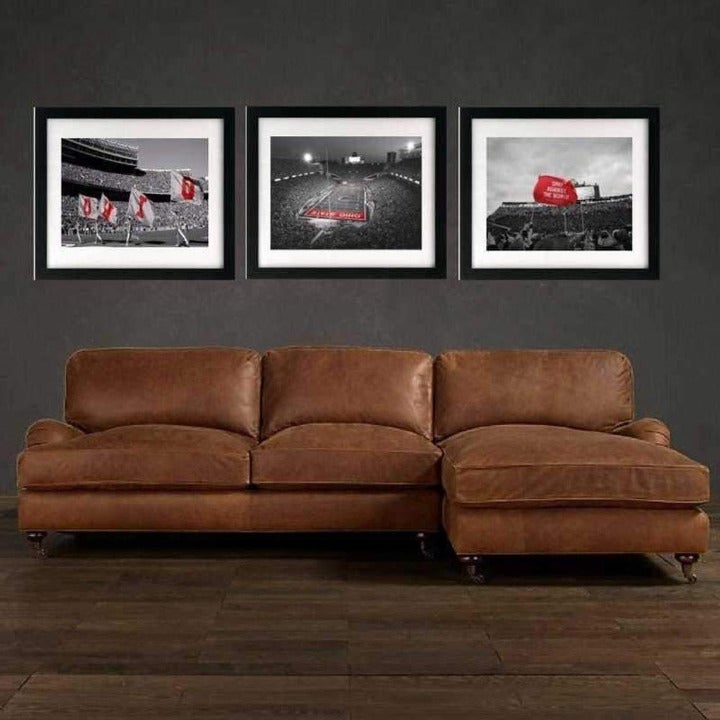 Ohio State Buckeye Stadium Framed Art OSU