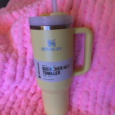 Stanley pomelo quencher 40oz tumbler h2.0