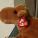 Beanie buddy