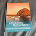 Mckeague Introductory Mathematics CONCEPTS WITH APPLICATIONS