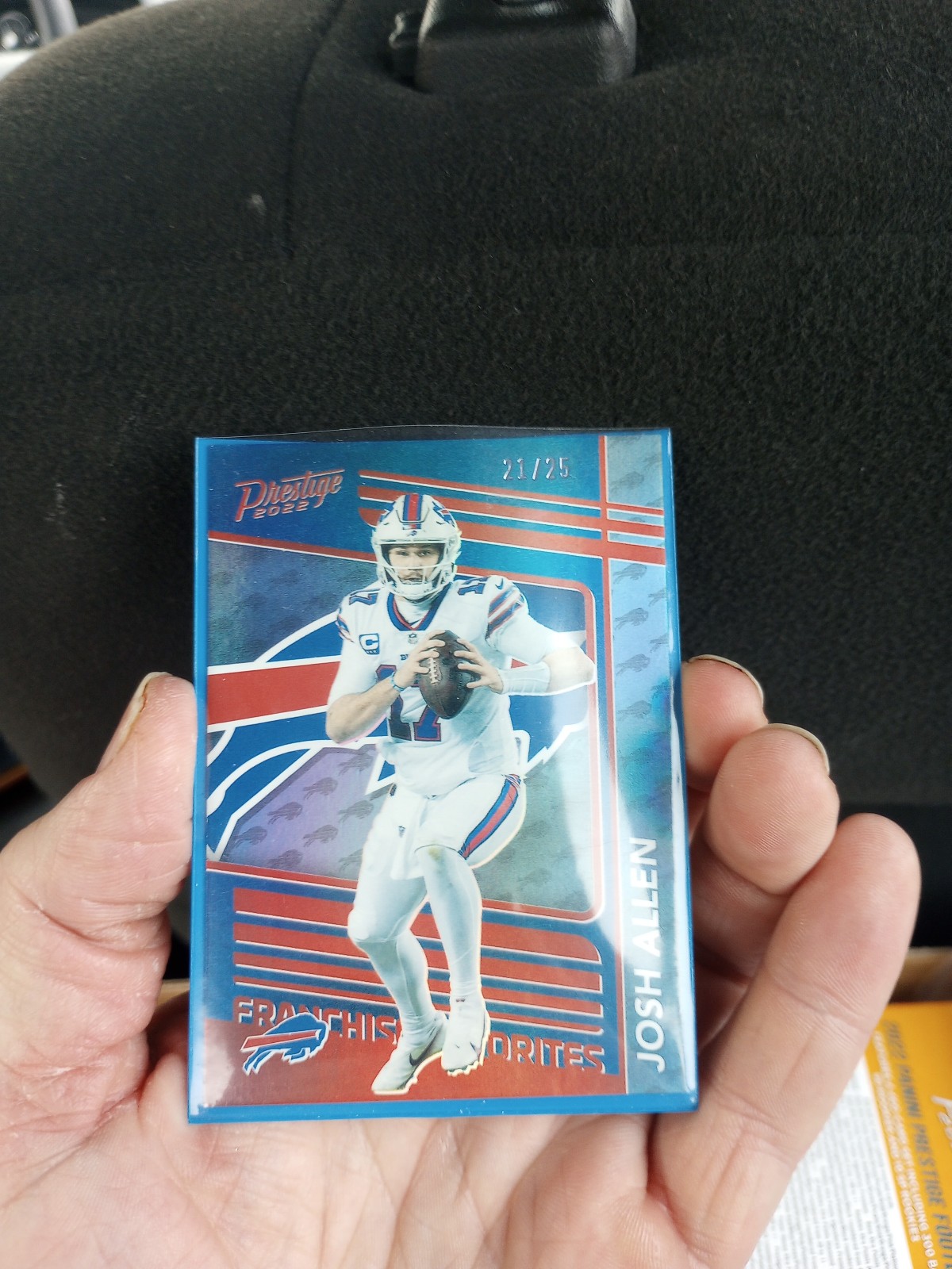 Panini