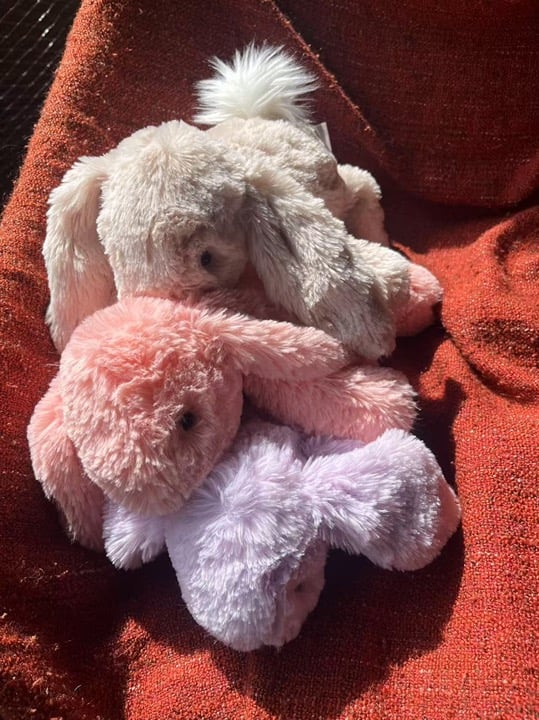 Bundle NWT jellycat smudge medium rabbit authentic