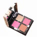URBAN DECAY JEAN-MICHEL BASQUIAT BLUSH PALETTE RARE LIMITED EDISON NEW