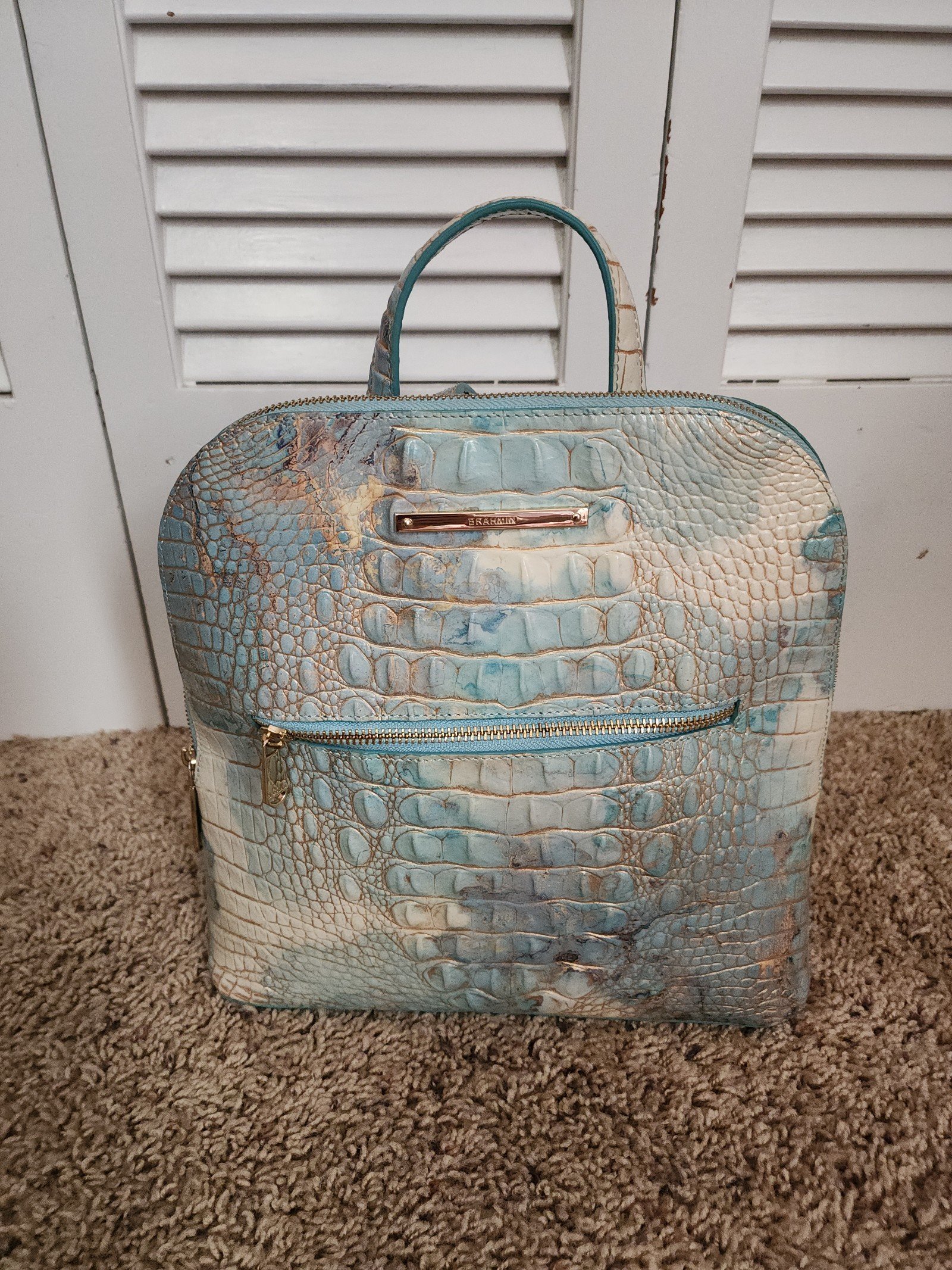 Brahmin Dustbag Backpacks Mercari