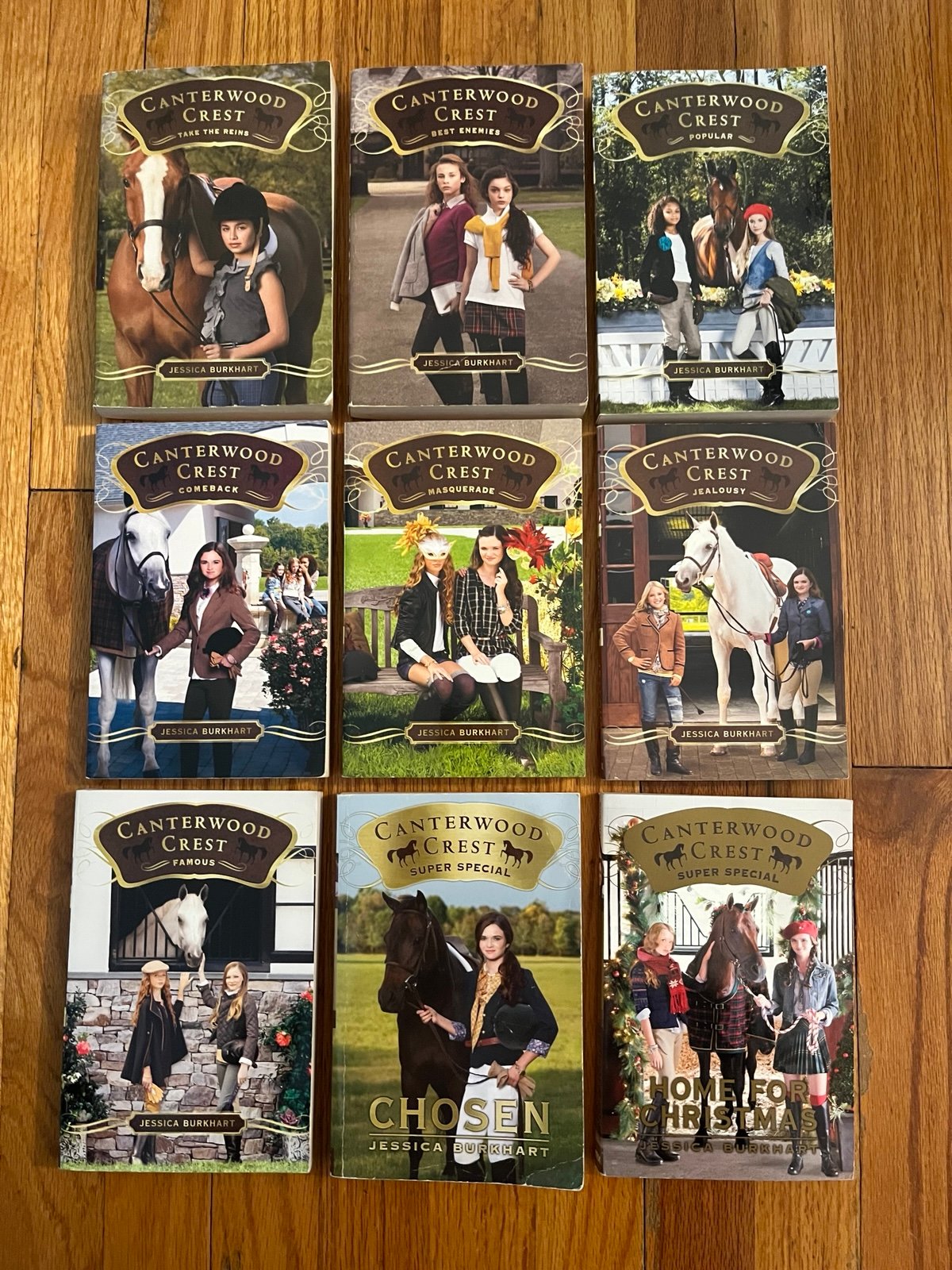 Canterwood Crest books lot set girls horses by Jessica Burkhart young adult