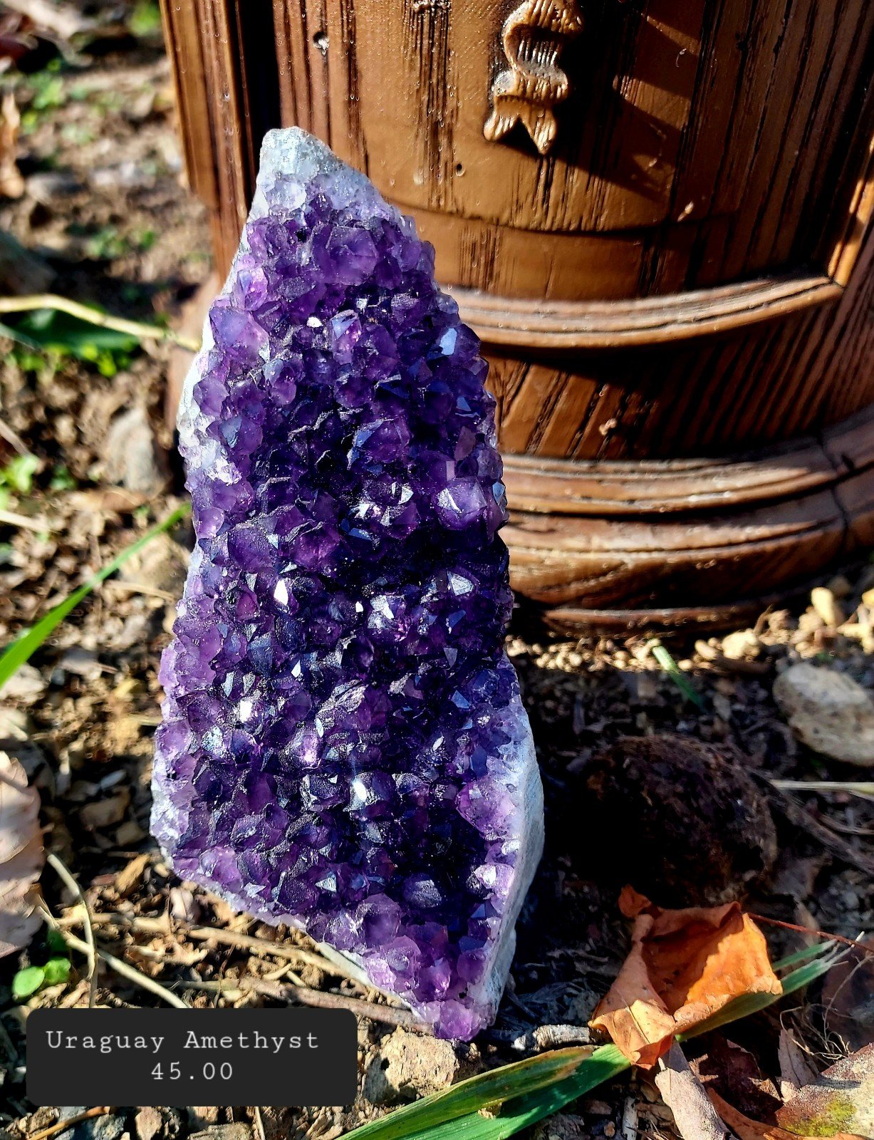 Uraguay Amethyst Cluster