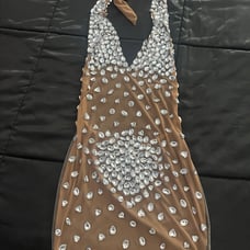 Alglist pink panther dress in silver