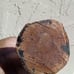VTG 1960's Hatian African Handcarved Wood Female Primitive Tribal Statue