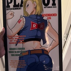 Dragon ball Z playboy poster