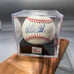 Carlton Fisk PSA sweet spot