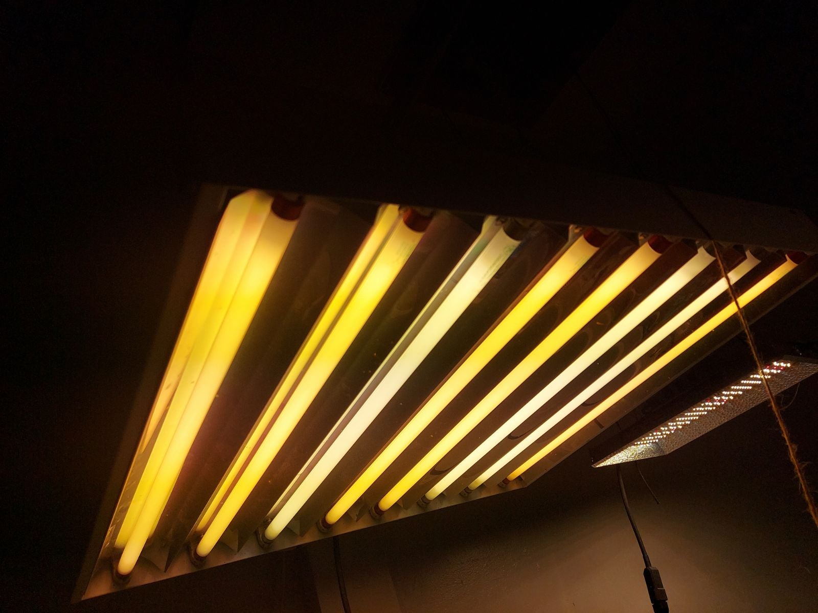 T5 envirogro 200 watt 8 bulb grow lamp