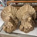 2 gold turkey decor !