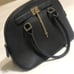 Aldo Purse