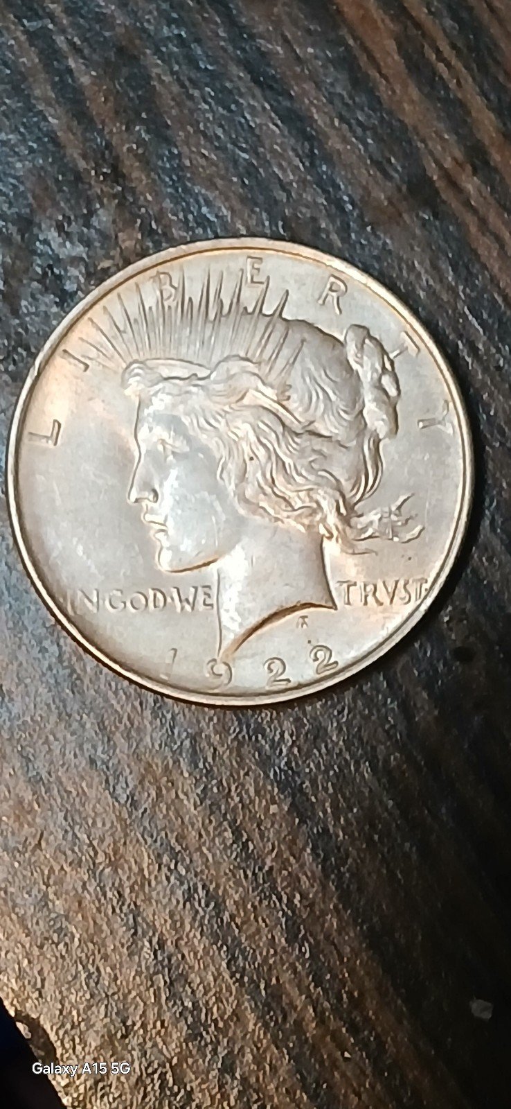 peace dollar coin rare beautiful