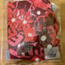 Brand new eric emanuel red flower shorts
