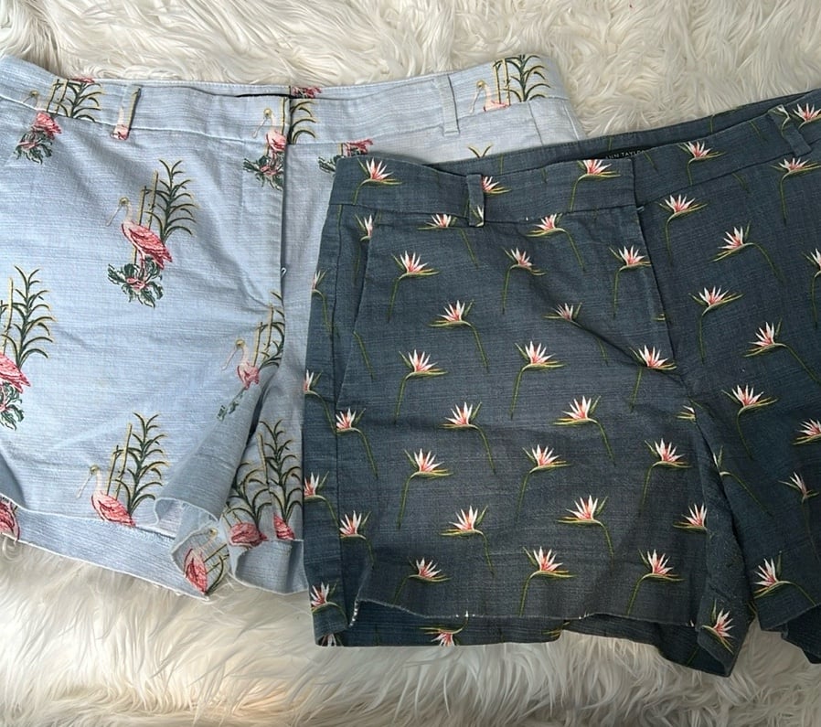 Ann Taylor Bunddle 2 Shorts