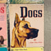 1970s Vintage Little Golden Books Animals Lot, Farm Zoo Dictionary Birds Dogs