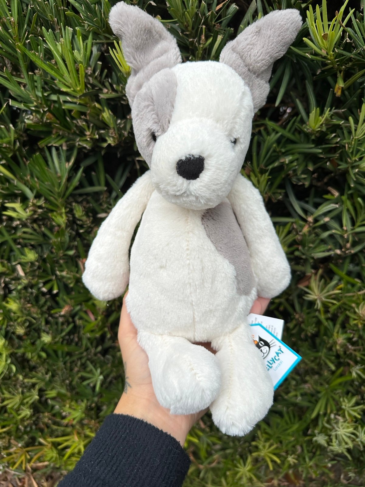 NWT - Jellycat Bashful Terrier Dog