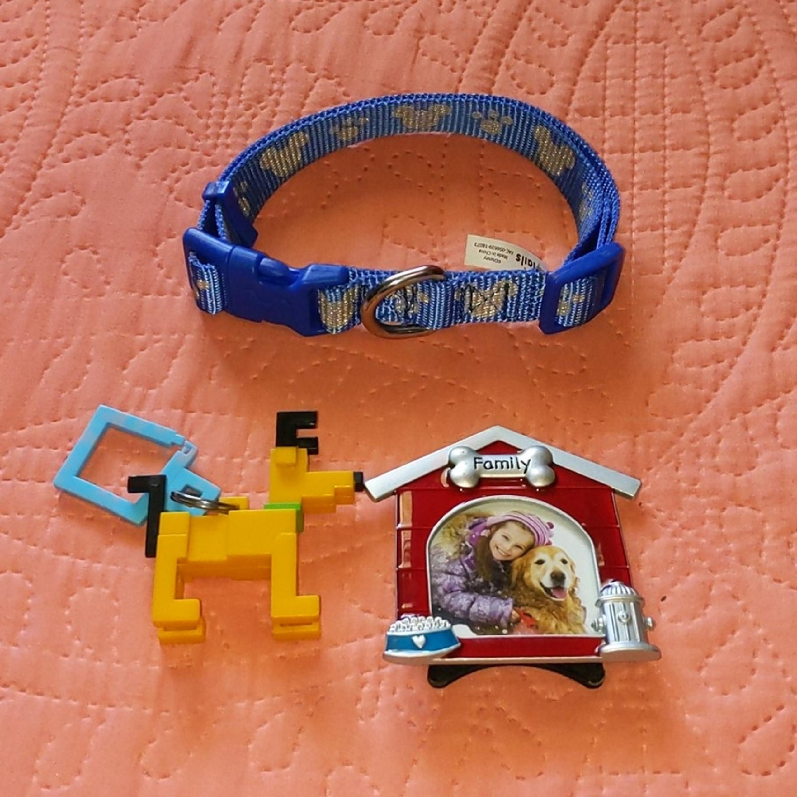 Disney Parks Blue Dog Collar Crossy Road Pluto Keychain Dog House Picture Frame