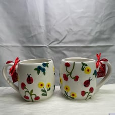 Flowers & Lady Bugs Mugs Set Of 2